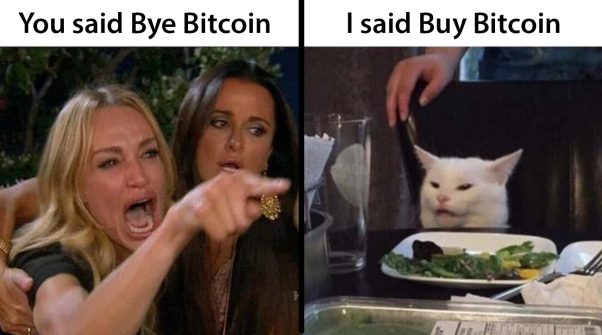 New Bitcoin Memes
